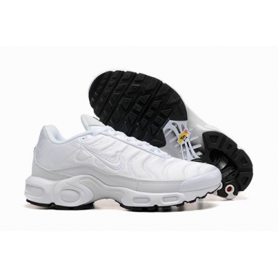 china cheap Nike Air Max Plus TN shoes