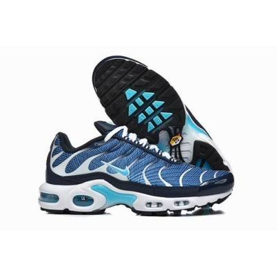 Nike Air Max Plus TN shoes wholesale in china