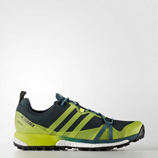 Mens Multicolor Adidas Terrex Agravic Gtx Outdoor Shoes 342THSGP