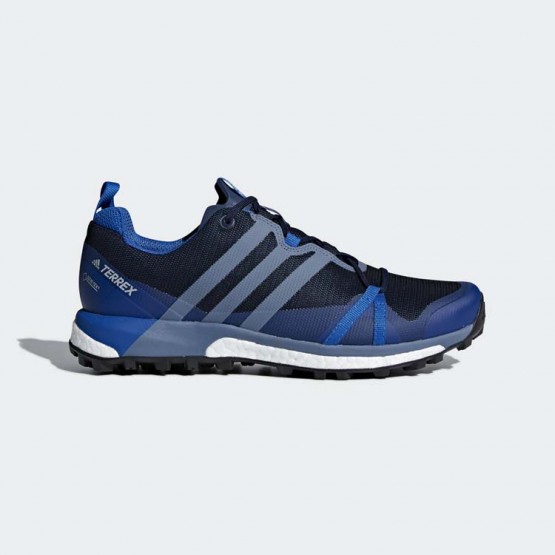 Mens Collegiate Navy/Steel/Blue Beauty Adidas Terrex Agravic Gtx Outdoor Shoes 663TEIJZ